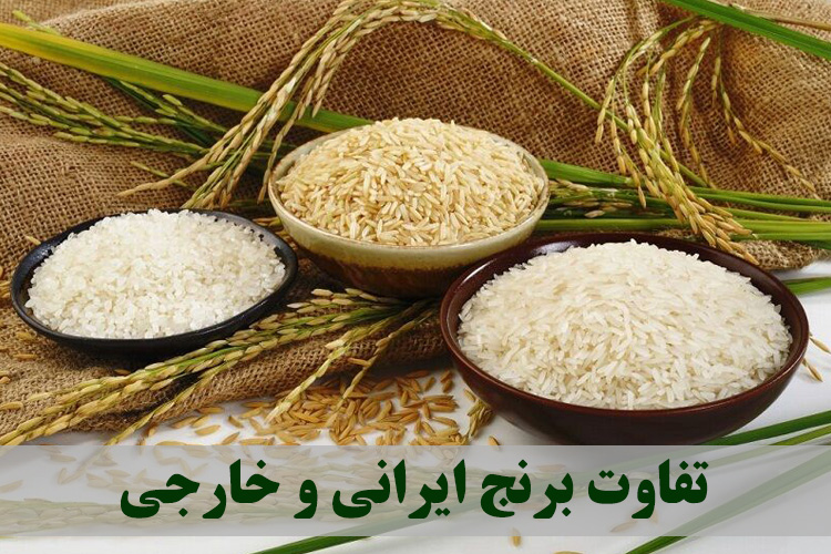 بررسی تفاوت برنج ایرانی و خارجی
