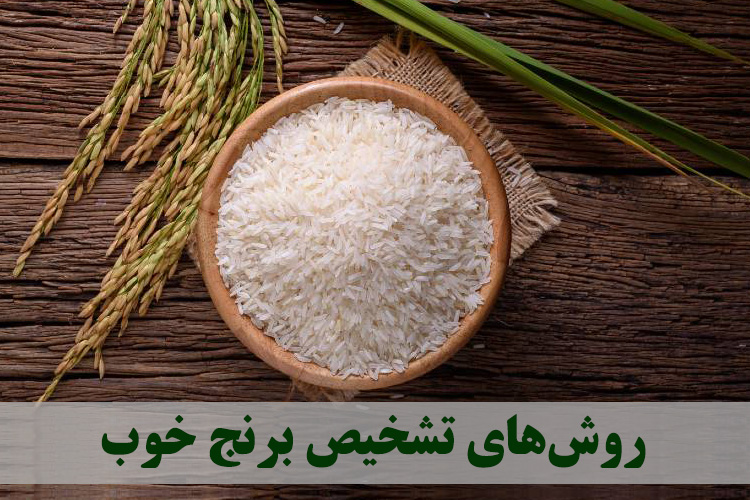 روش‌های تشخیص برنج خوب